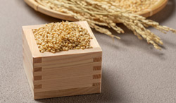 もち麦」はグルテンフリー？アレルギーリスクと食べ方のポイントもちむぎ村 ‐ マルヤナギ