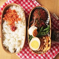 1食200円 5日分まるごと冷凍弁当2 豆腐ハンバーグ弁当作り置き