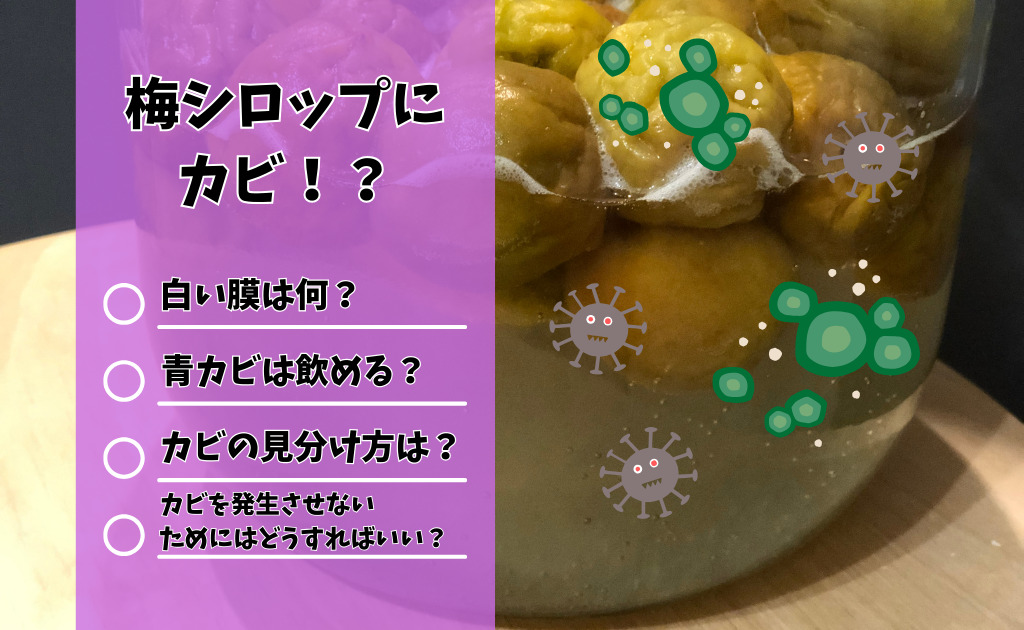 梅シロップ、これは白カビですか?廃棄でしょうか? - カビに見- Yahoo!知恵袋