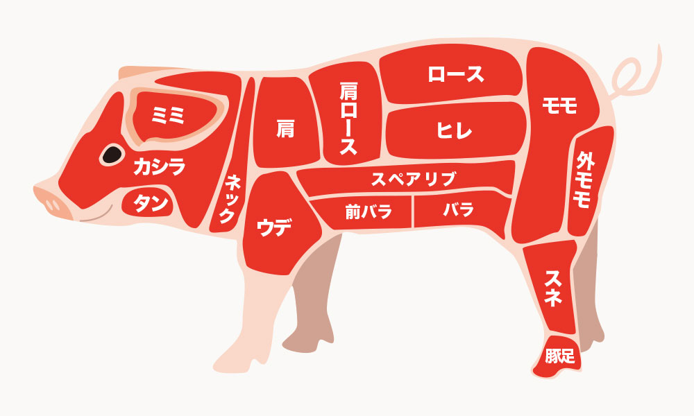 プロに聞く! 豚肉の部位の特徴と料理での使い分け東京ガス ウチコト