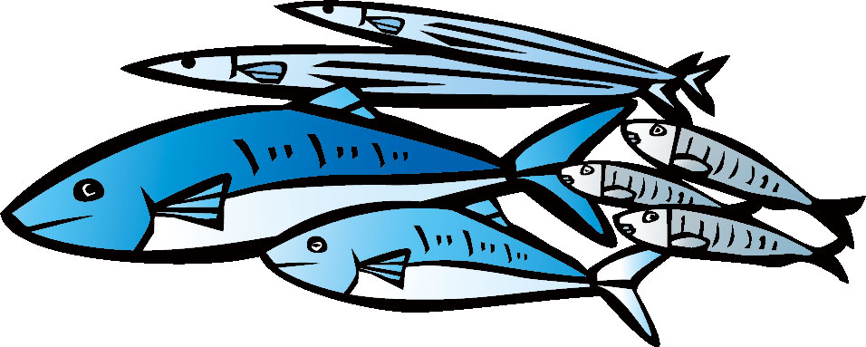 さんまの塩焼き 写真素材5143528- フォトライブラリ