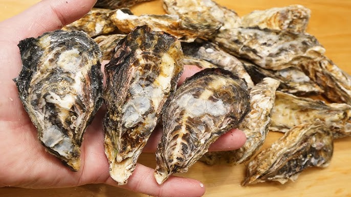 最後まで美味しくいただく♪ シメ雑炊