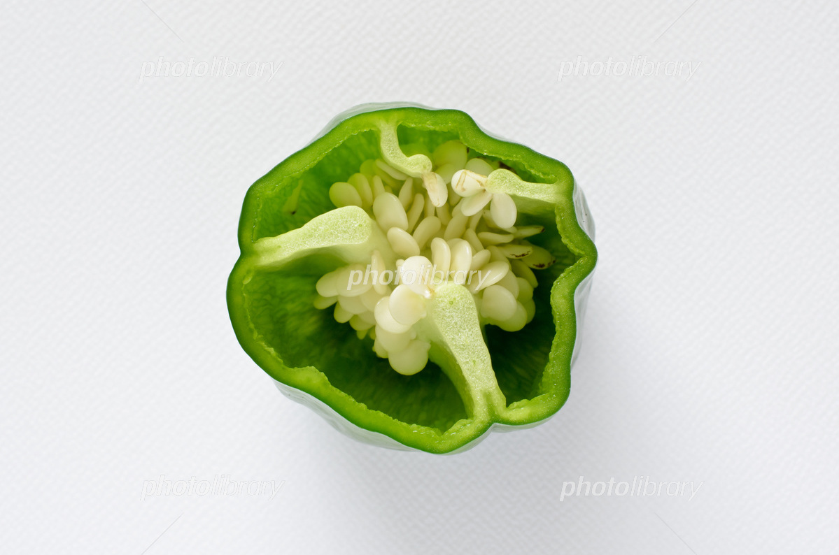 1,800点を超えるきゅうり 断面のイラスト素材、ロイヤリティフリーのベクター素材グラフィックスとクリップアート - iStock