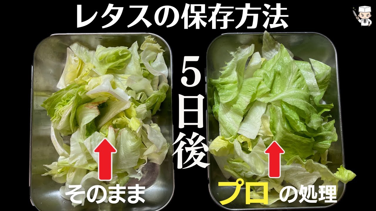 レタスの保存方法と選び方!長持ちさせる方法を紹介キッコーマンホームクッキング
