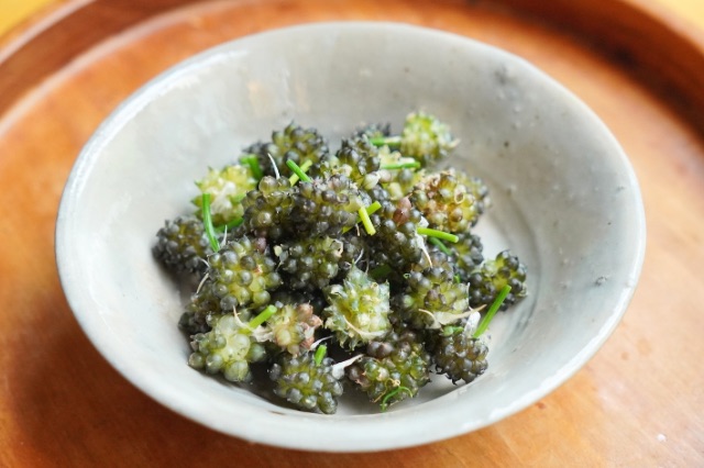 野蒜 のびる大 です。 徳島県産。 別名ねんびろ、ねんぶり、のびろ、ねびる、キモト、グンサイ、コビル、チモト、ヒリコ、ヒル、ヒルナ、タマビル、タマビロ、ノノヒロ、ノノヒル、ヒロ。東アジアに広く分布、日本では北海道〜沖縄までの山野、土手、道端、畦道や堤防