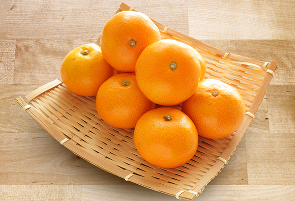 おいしいみかんの選び方長崎みかん -NAGASAKI MIKAN