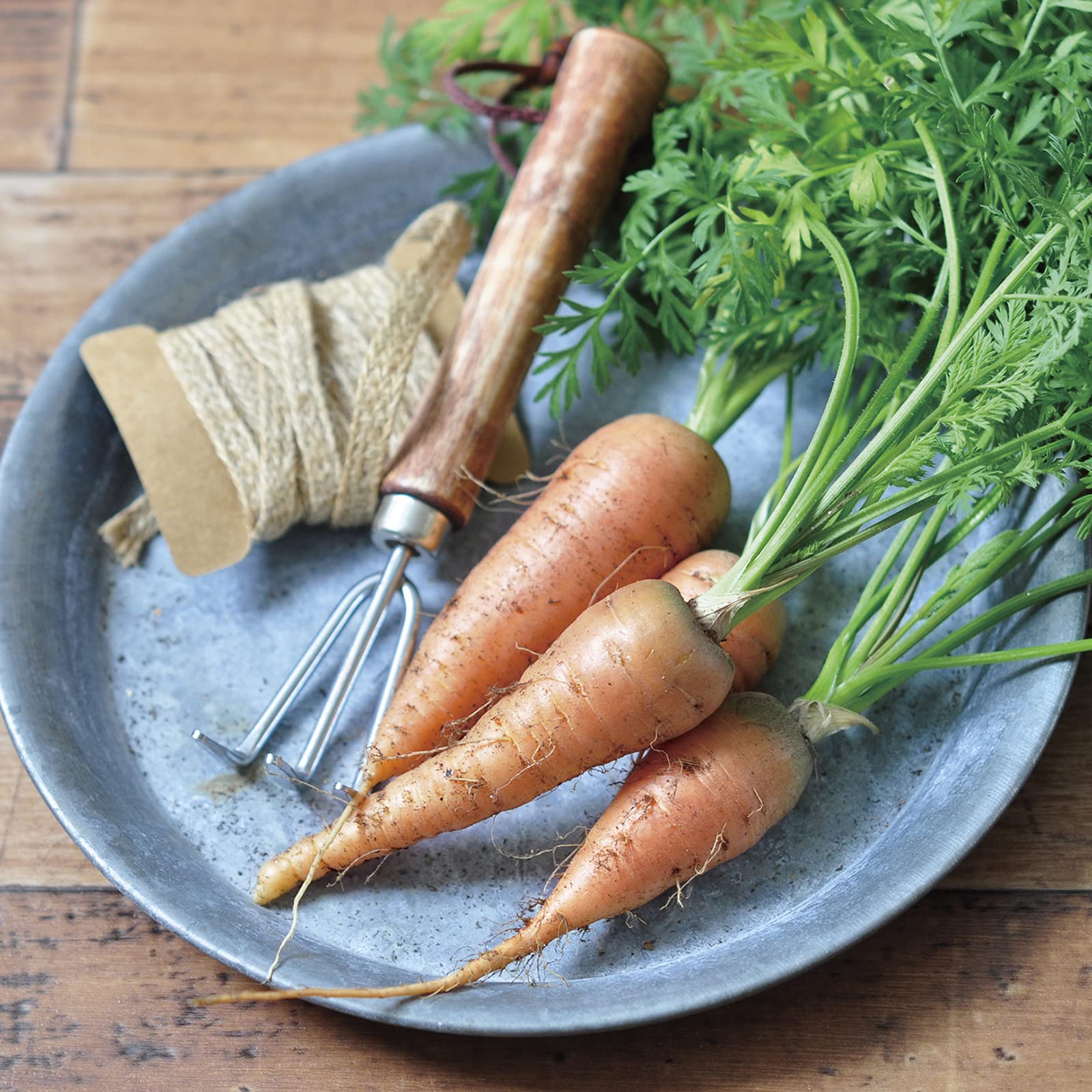 6個セット ECOT Mにんじんタネペラ