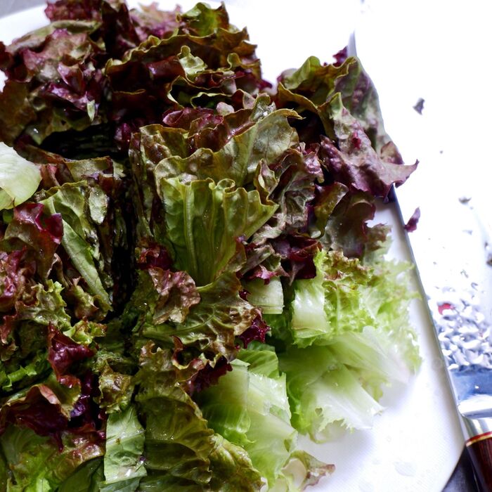 うまさ10倍!レタスの切り方 ちぎり方 料理のプロがやってる裏ワザが話題クックパッドニュース