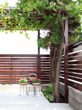 葡萄棚のインテリア実例RoomClip ルームクリップ