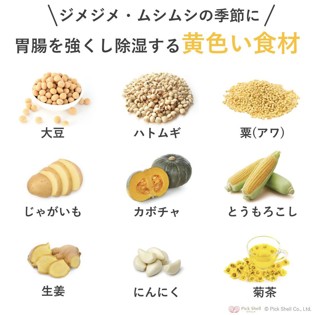 Highlights by リョータ薬膳起業家@ryota_kampoX