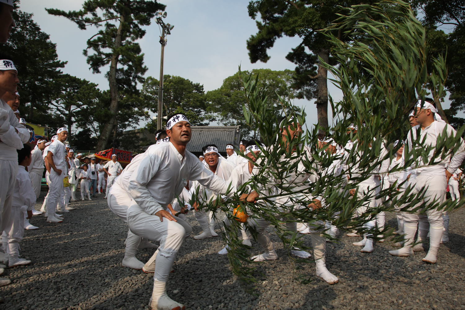 亀戸で静岡県焼津の魅力を知る。いつまでも居座りたい！『焼津 荒祭り』｜亀戸プロ