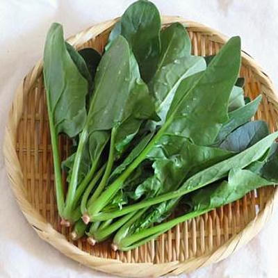 菜っ葉とは?種類や栄養、おいしい食べ方を徹底解説