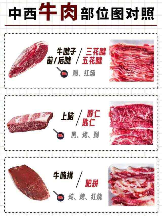 牛肉麵的牛肉是哪一個部位？讓冠軍牛肉麵洪師父告訴你