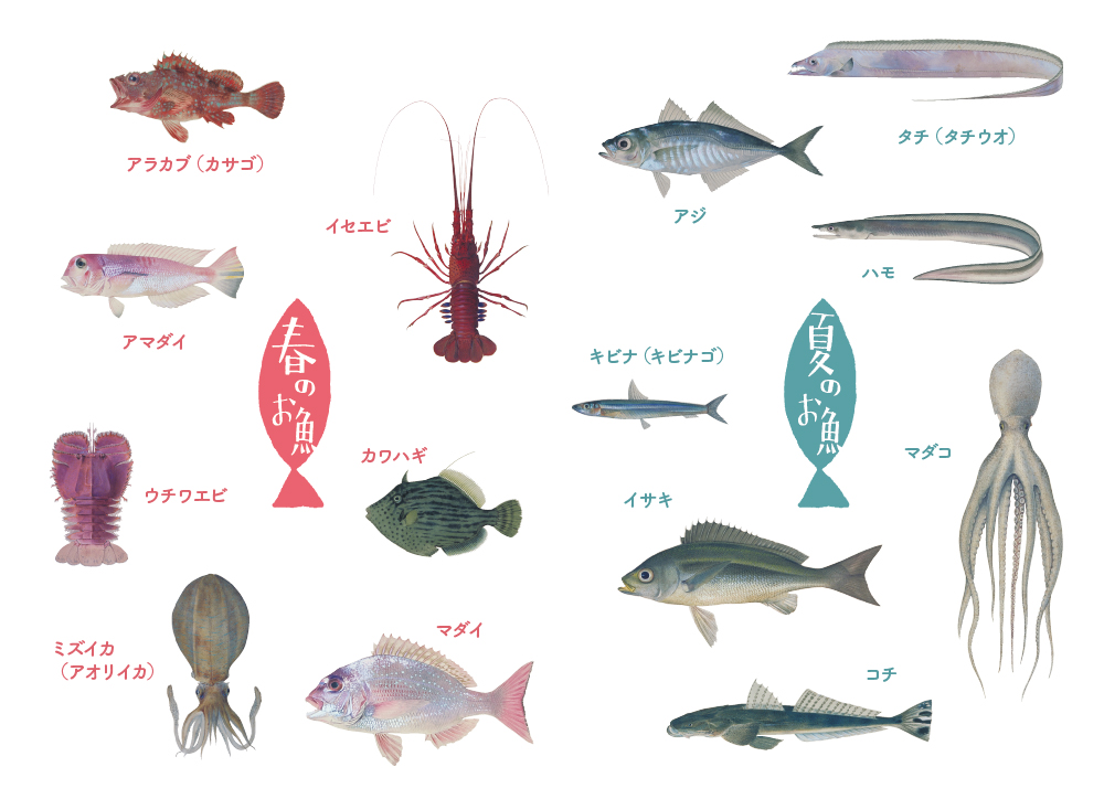 夏においしい魚5選!おすすめの選び方や食べ方を知ってレパートリーを増やそうShufoo!プラス