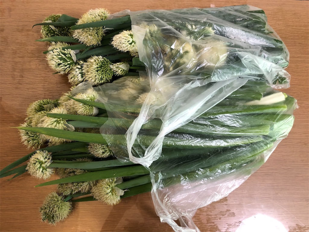 その3:ネギ坊主~捨てずに食べられる、採り遅れのトウ立ち野菜~園芸のアイデア暮らしニスタ