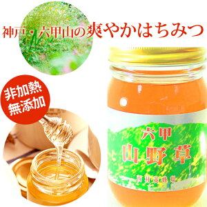 楽天市場 ケト ハニー アルロース＆ラカンカ はちみつ 代替品 312gWholesome Yum KETO HONEY アルロース甘味料 希少糖正味炭水化物 0g : Laurette