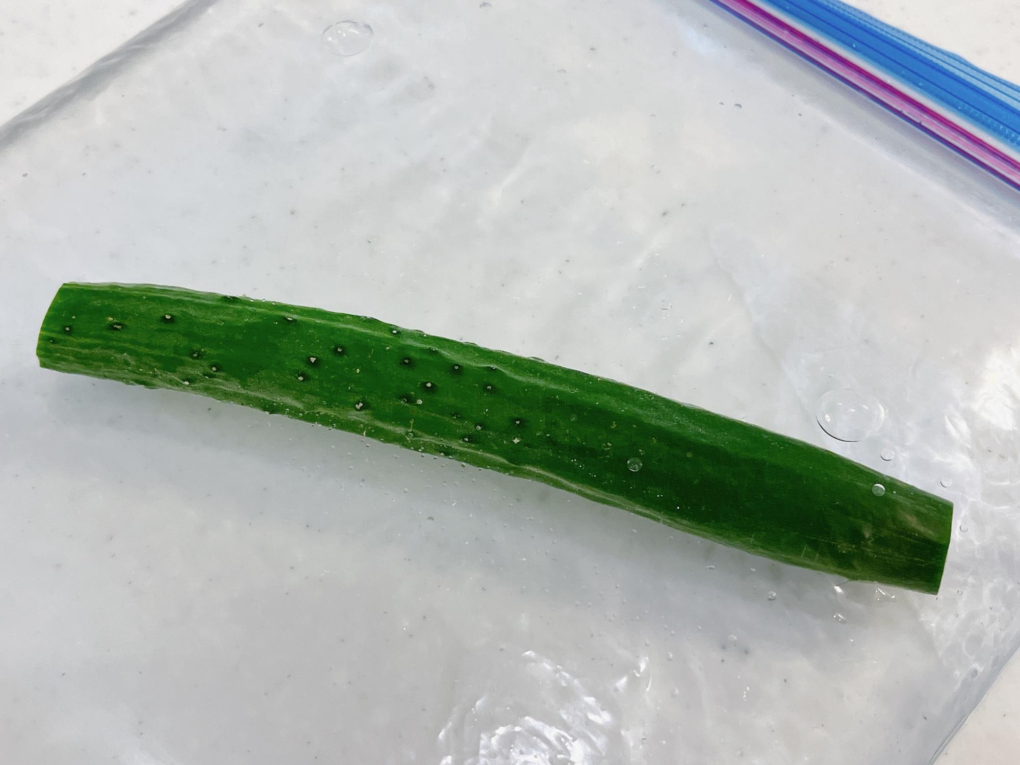 きゅうりの病気一覧 葉っぱにでる症状を画像つきで徹底解説