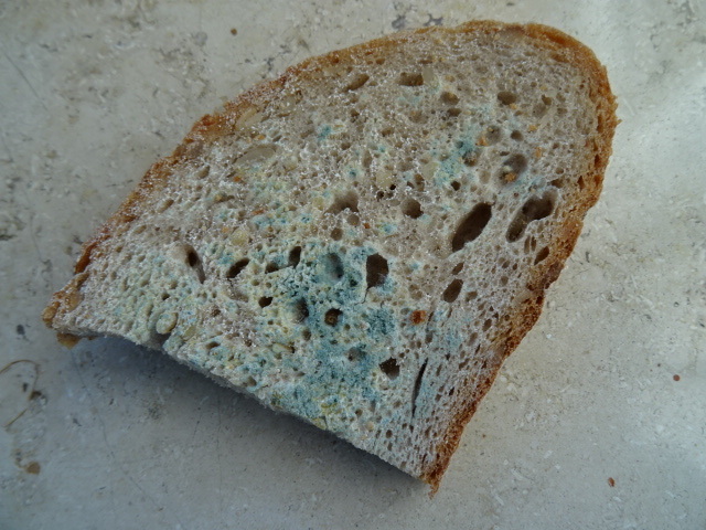 パンを保管した後の内部の乾燥した小麦粉またはカビ？ : r AskBaking