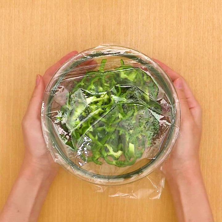 レンジで簡単、5分で完成「ピーマンのおひたし」ズボラ飯・簡単料理レシピ動画サイト「ずぼらめしJP」