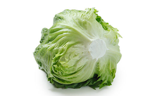 サニーレタスの保存方法は冷凍?爪楊枝!? 長持ちさせる方法まとめ - macaroni