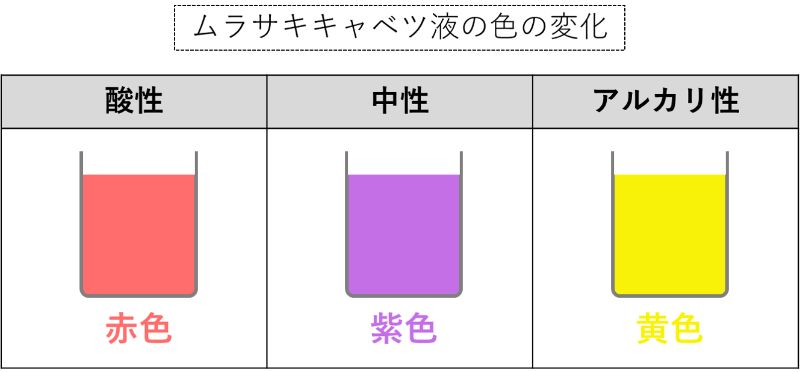 輪切りにしたキャベツ 黄色背景の写真素材36906546- PIXTA