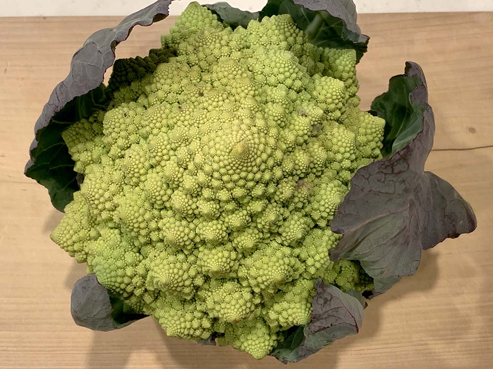 スウェーデンで「不快な食べ物博物館」が開館 うじ虫チーズや羊の目玉など展示 - エキサイトニュース