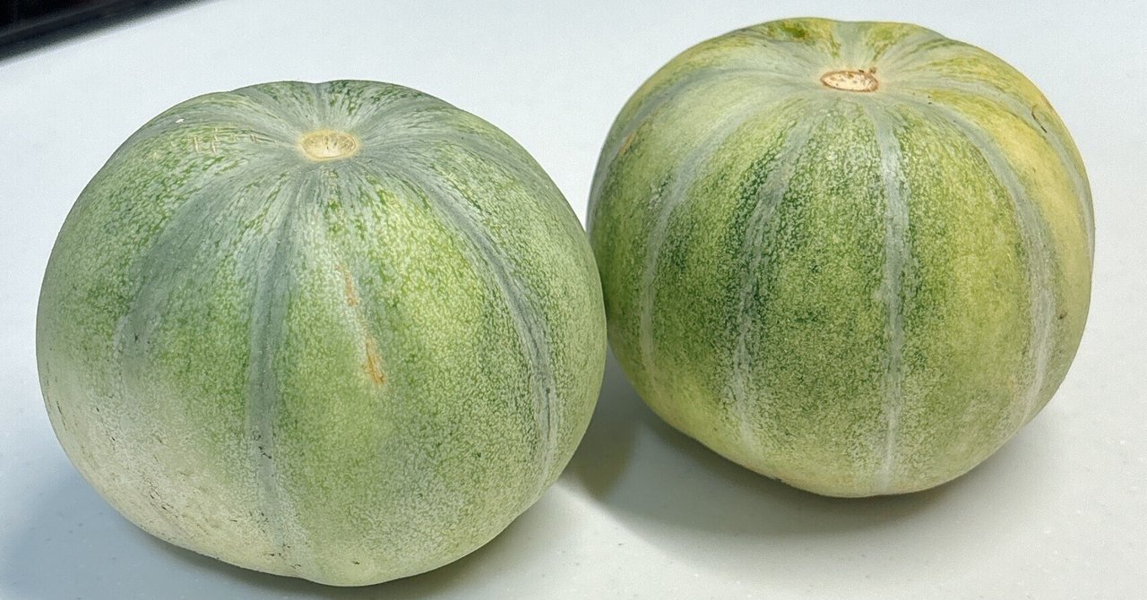 食卓からはじまる住まいの元気 「ウリ科の野菜」編 – KTVハウジング