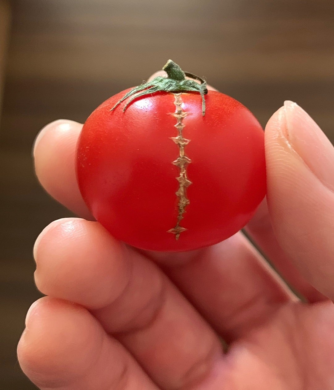 面白いトマトの文字は 白の背景に漫画のスタイルで 高速でスロー ストックベクター ©PenWin 582572532