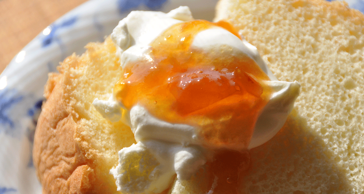 クラッシュ梅寒天ゼリーあいコープのレシピ集