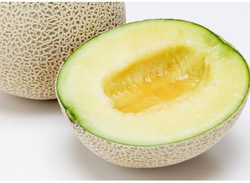 メロン 高級 メロン」の人気商品一覧安い商品を通販サイトから探す - 価格.com