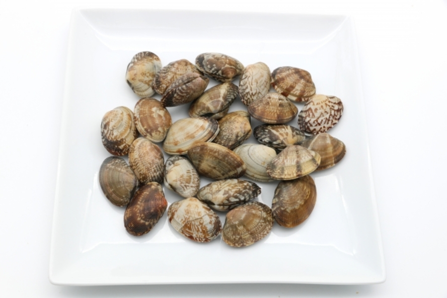 春の味覚・食べ物春の野菜や魚・果物の通販うまいもんドットコム