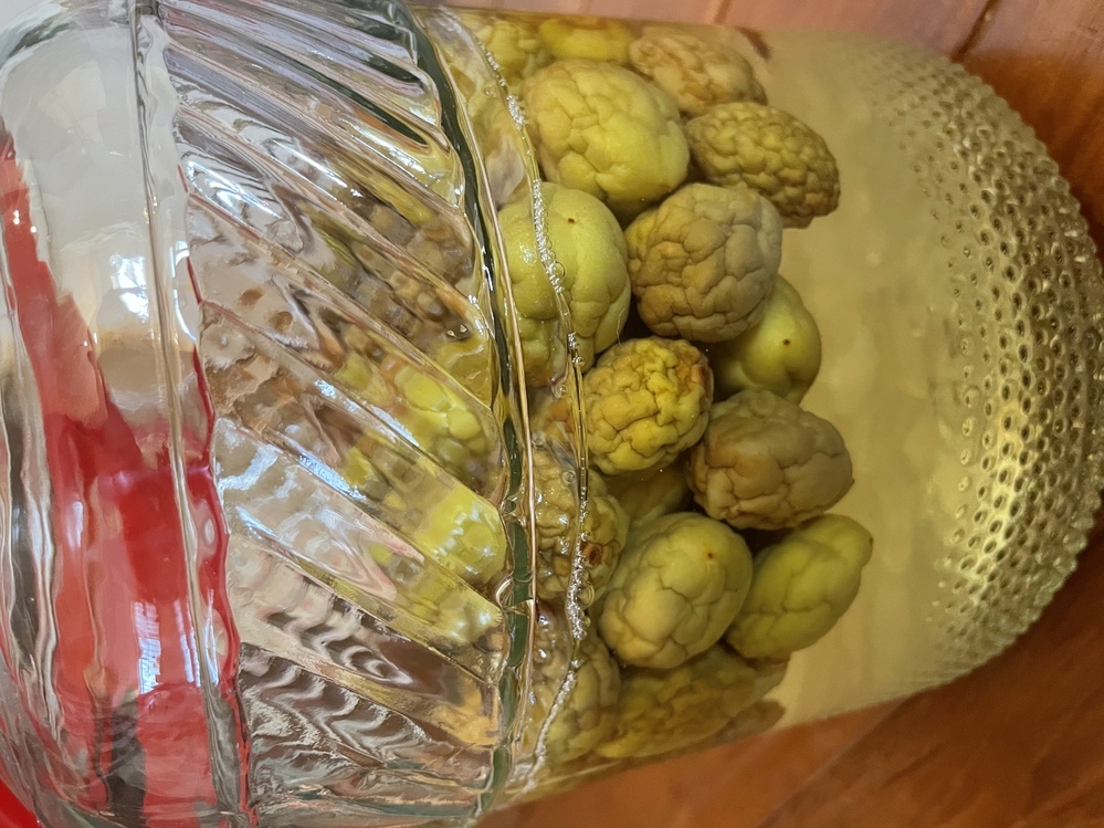 梅シロップの梅がしわしわにならないのは失敗？丸い梅との違いって？ - お役立ち情報サーチ