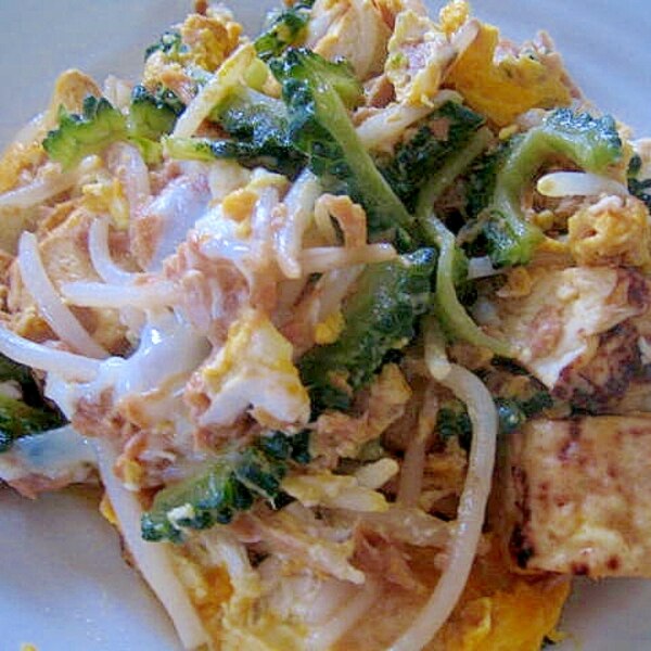 常備してあるツナ缶で簡単！ゴーヤチャンプルーのレシピmichill byGMO ミチル