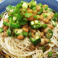 梅干しを料理で大量消費！たっぷりおいしい梅風味レシピ紹介梅干し通販店 五代庵