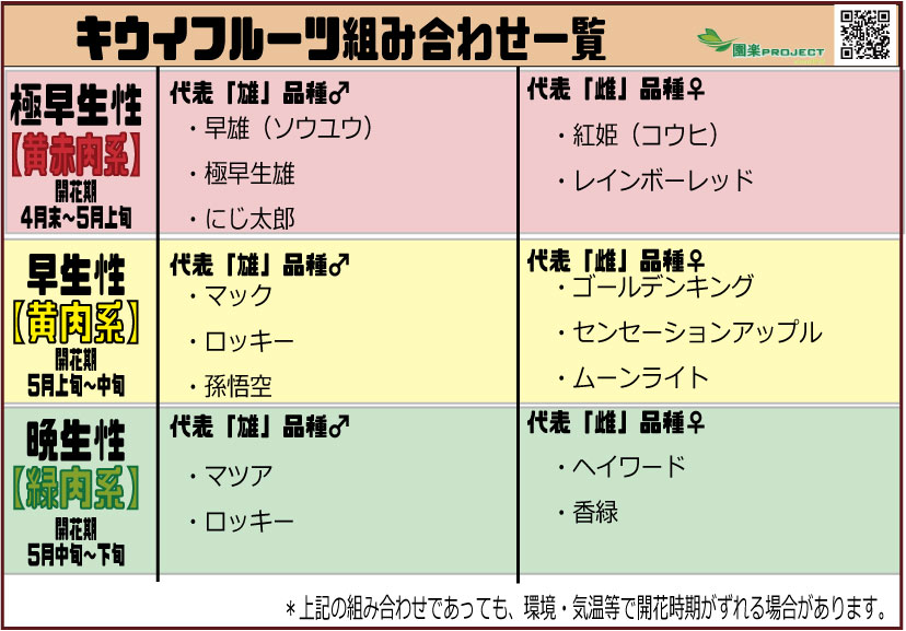 キウイフルーツの育て方苗木の選び方、剪定、収穫まで切るを楽しむアルスコーポレーション株式会社