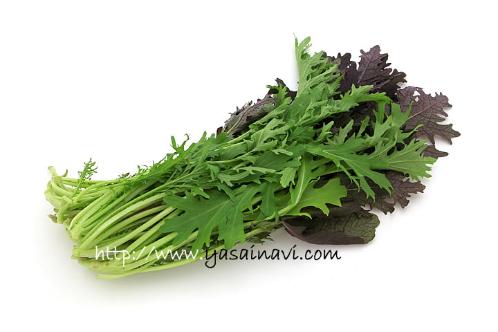 赤からし菜と豆のペペロンチーノお知らせ - たべるとくらすと