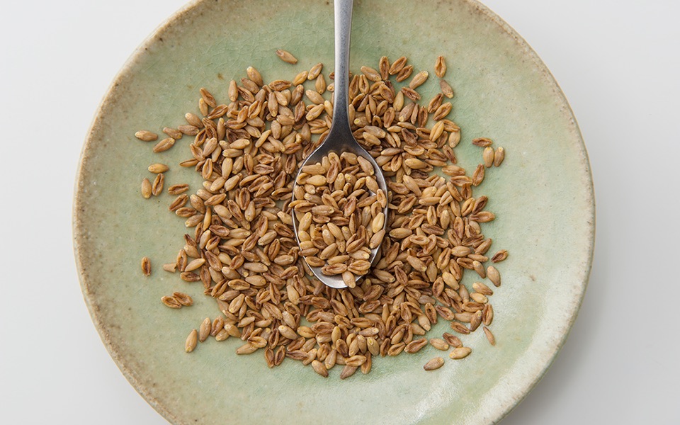 日本の風土で育つ大麦の一年大麦百科おいしい大麦研究所