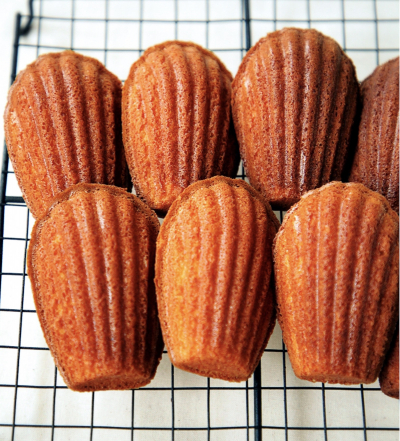 マドレーヌ プレーン・ココア