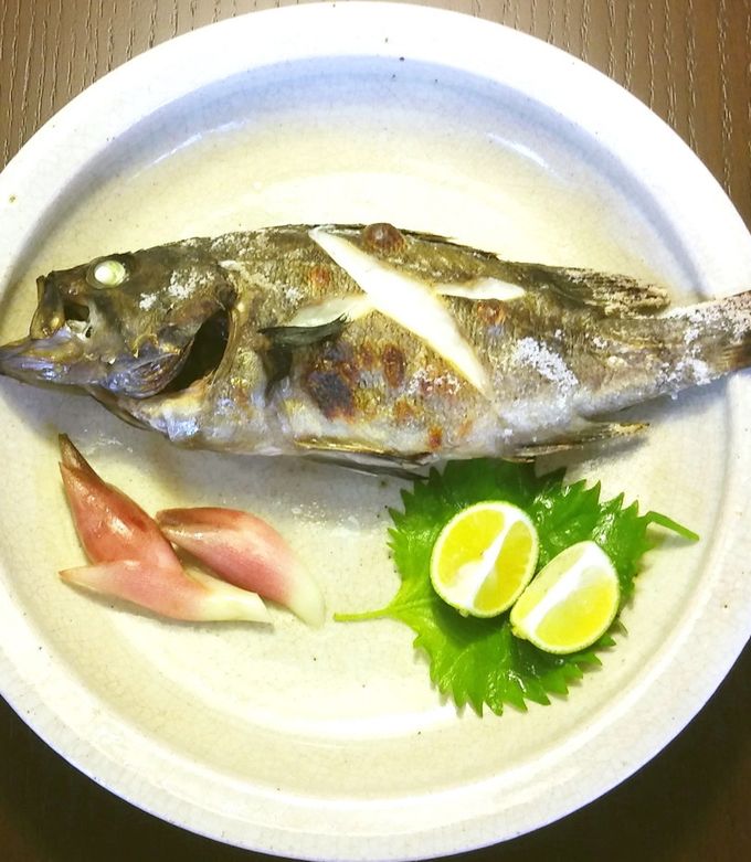 シマゾイの煮付け！縞模様の黄ソイ奈良の宿大正楼