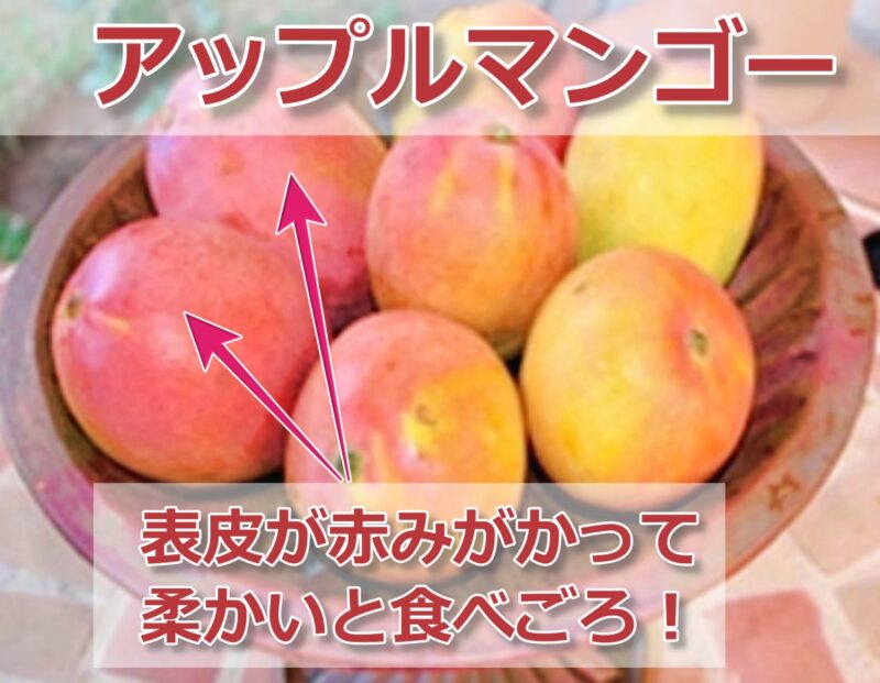 コストコ メキシコ産マンゴー ケント種を色々アレンジして堪能してみた！食べごろの見極め方もご紹介！Foooood