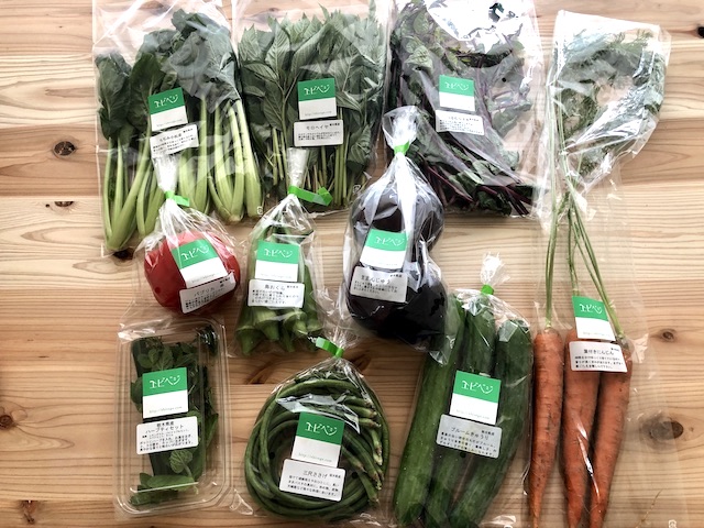 単発 野菜ボックス Ｍ ９〜１０品きくち農園