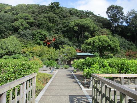 美湯のやかた 夢寛歩 道後 宿泊予約プラン・料金一覧【JTB】＜松山市街・道後温泉＞