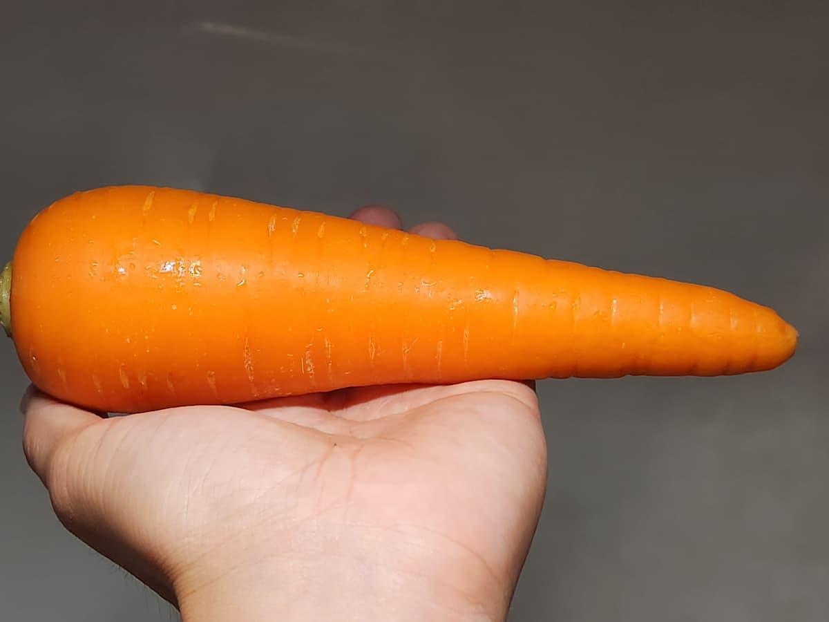 にんじんのカロリー グラムのわかる写真館簡単！栄養andカロリー計算