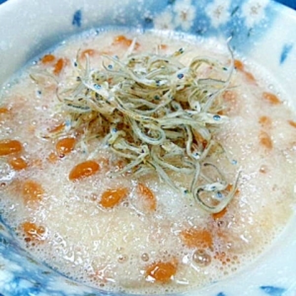 最強コンビ！ちりめんじゃこと大根おろし