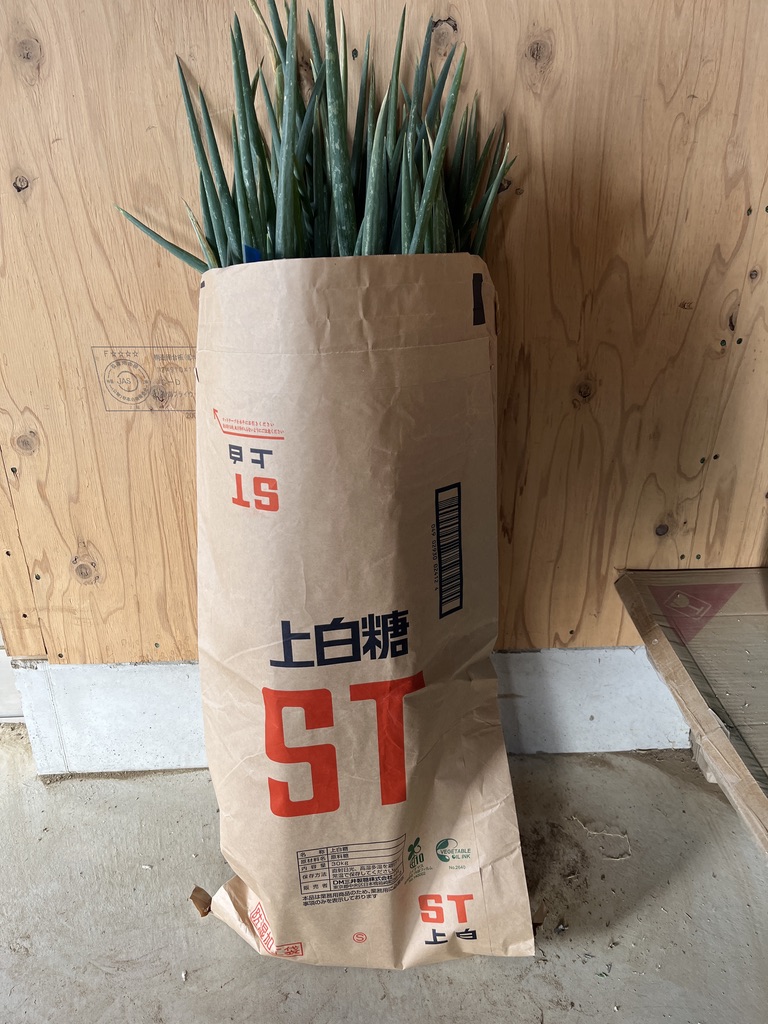 ねぎは洗うな他にもレシピやプロがやってる料理の小技のせてます▶️ @isokaka.kyoto 意外と手間がかかる刻みネギ。切ってる途中でバラバラになるとめっちゃストレスじゃないですか？毎日自炊する人でも、これはもう面倒だからスーパーで買ってるーというお話もよく