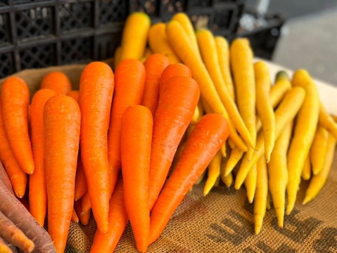 *コンソメなしでも作れる、残り物で簡単ポトフ*