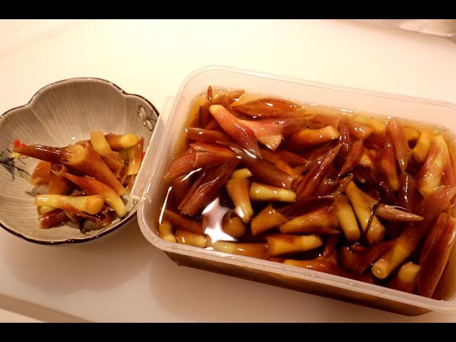 水で簡単☆シャキシャキみょうがの保存方法 by mimi☆koクックパッド簡単おいしいみんなのレシピが392万品