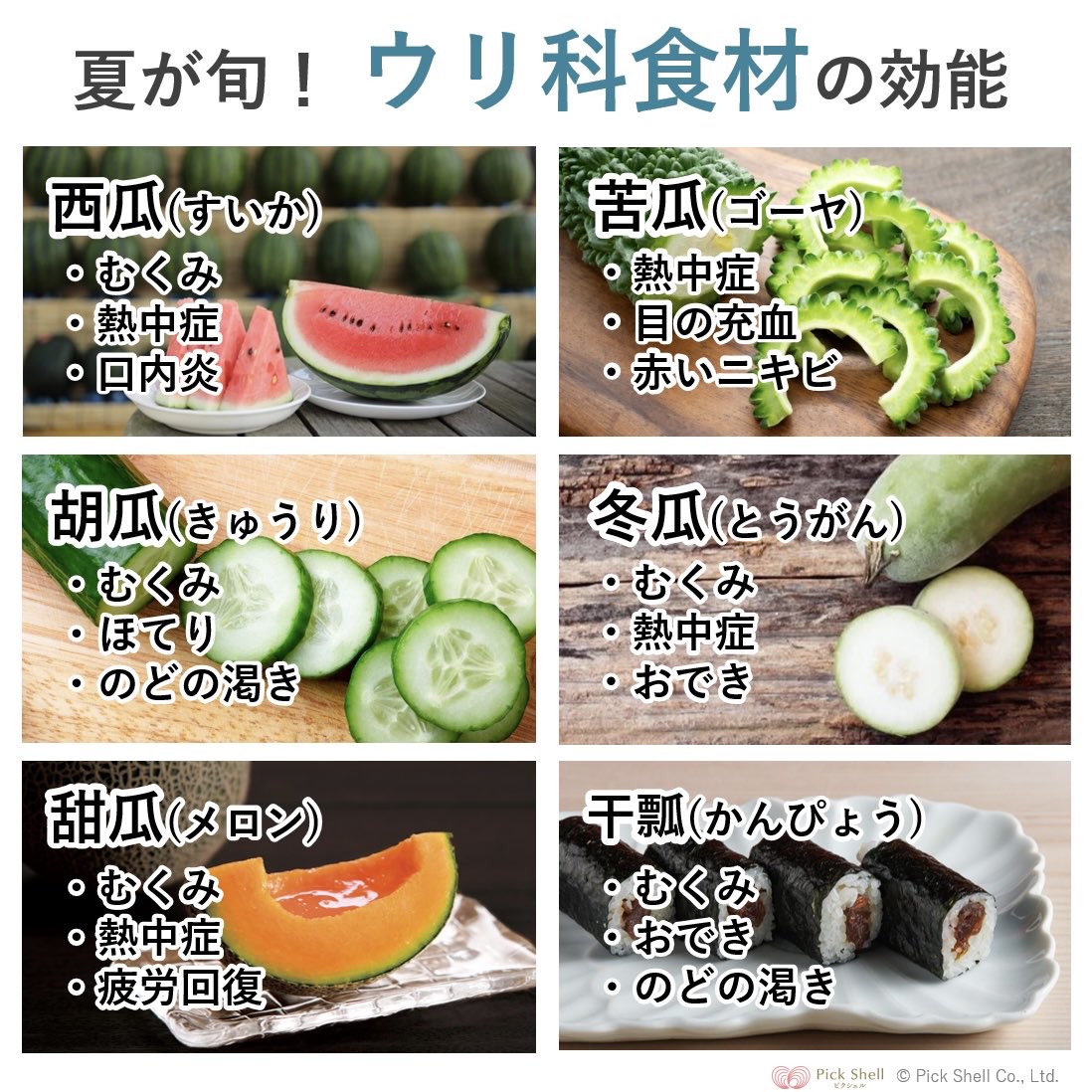 スイカ、ニガウリ、ヘビ、ひょうたん、メロン、フルーツチャート、食品、植物、リトグラフ、ヴィンテージキッチン用イラスト 121 - Etsy 日本