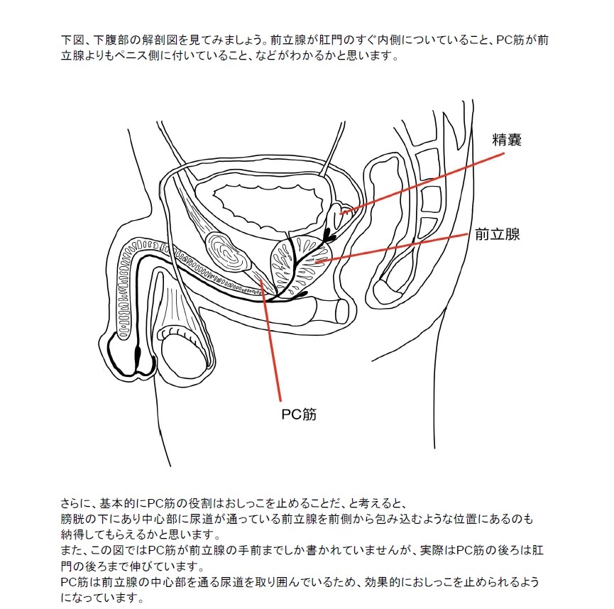 Amazon.co.jp: 敏感ビーチク教師を乳首コネくりながら前立腺W刺激で超メスイキ 沙月恵奈 ワンズファクトリー