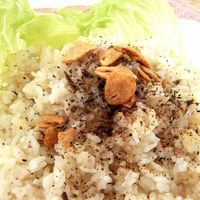 アンチョビガーリック炒飯わくわくレシピ植物のチカラ 日清オイリオ